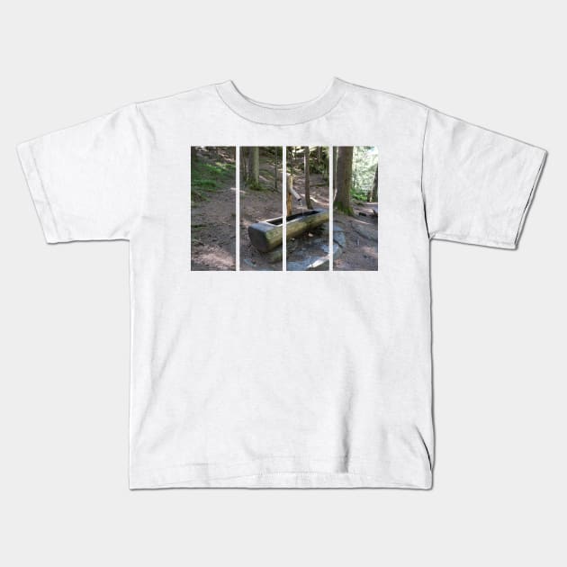 The fabulous alpine waterfalls of Riva in the Dolomites (Campo Tures). Path of San Francesco; wood fountain, fresh water. Lovely place in the Alps. Sunny spring day with no people. Trentino Alto Adige Kids T-Shirt by fabbroni-art